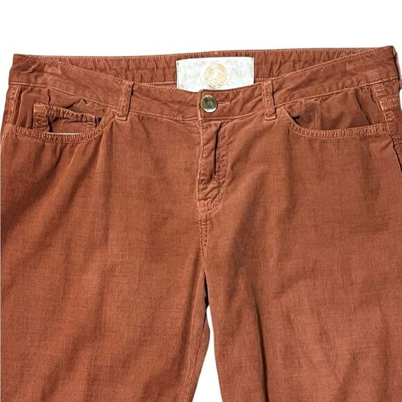 Bella Dahl Anthropologie Corduroy Pants Sz 31 Burnt Orange Fall Academia Casual - Picture 3 of 11